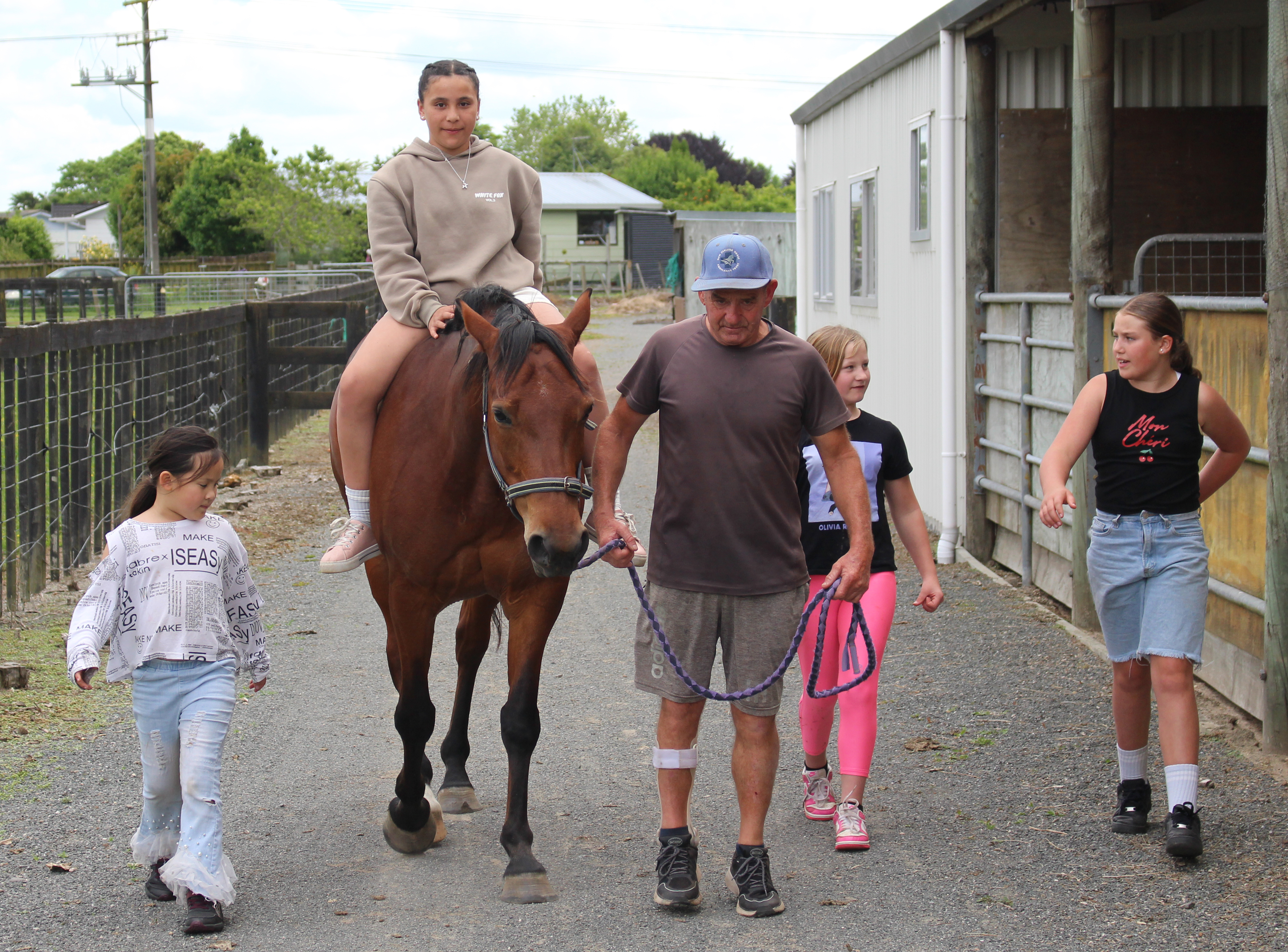 Horse and Animal Care