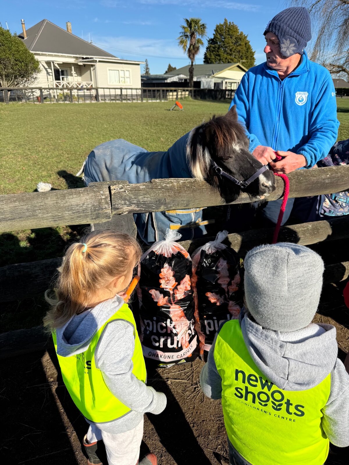 Farm Session Supported By Fresh Carrot Donation