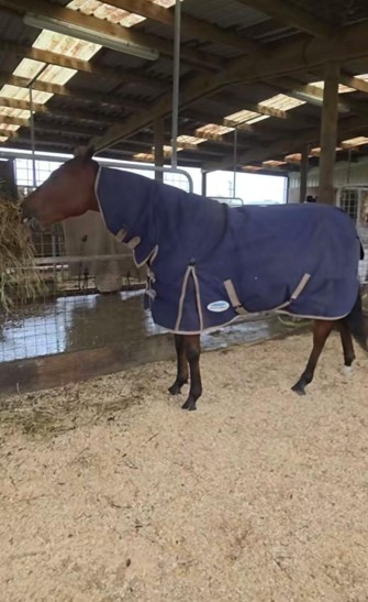 New Zealand Hit By Cyclone Vaianu