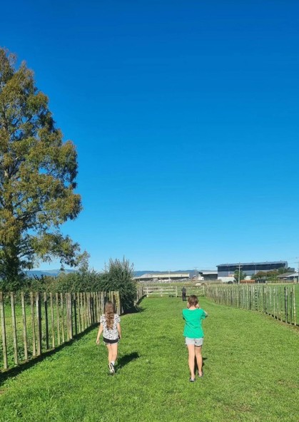 Immersive Equine Experience for Junior Volunteers