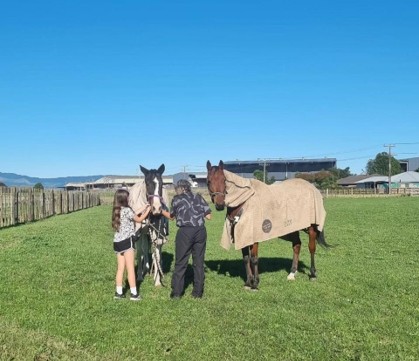 Leading Horses