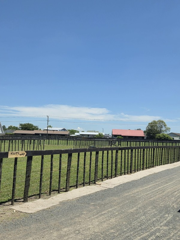 GYNZ Volunteers Carry Out Site Improvements
