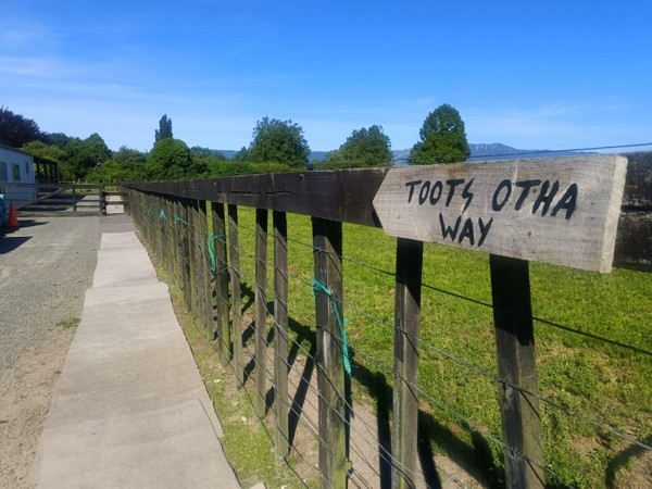 GYNZ Volunteers Carry Out Site Improvements