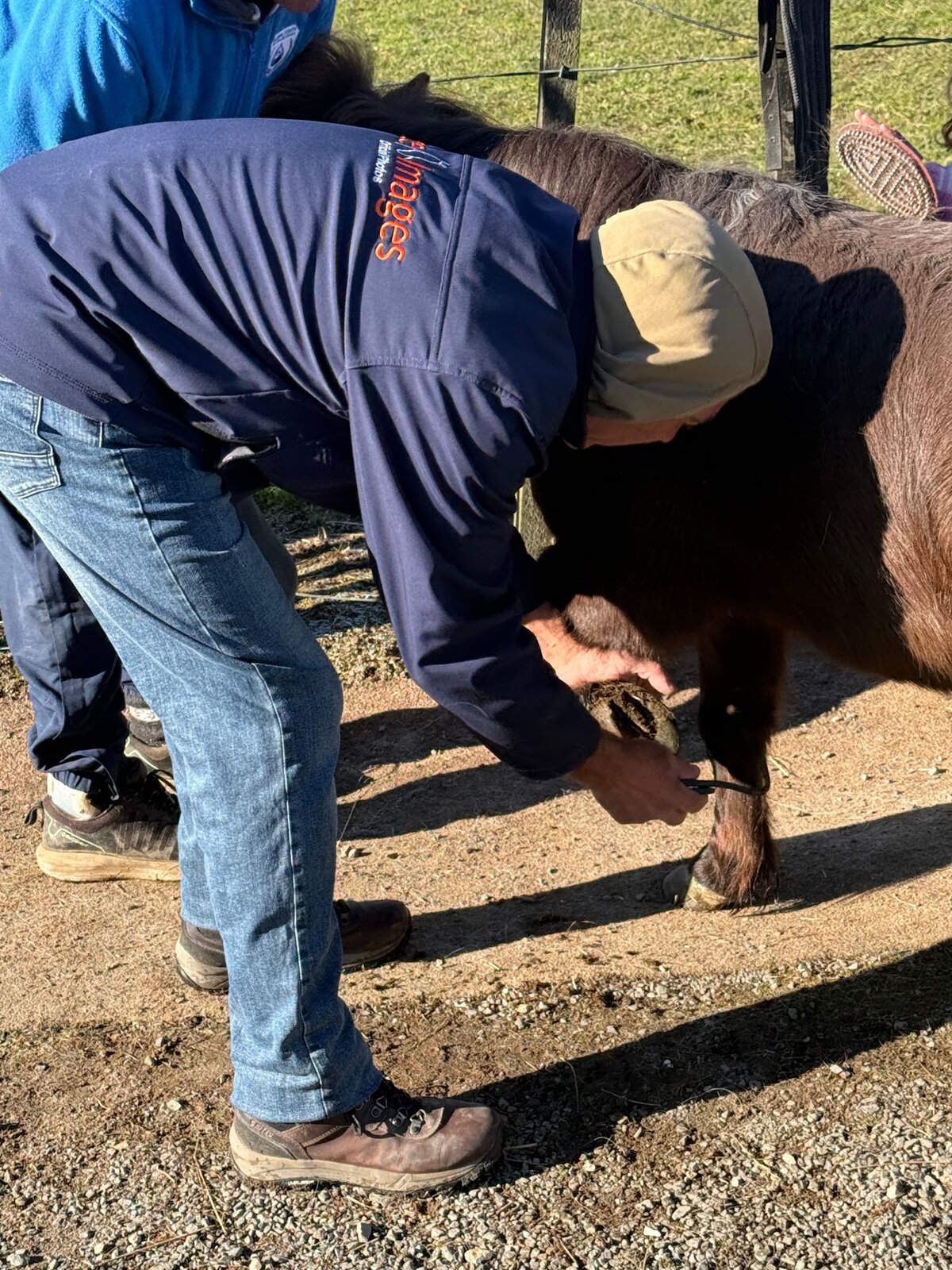 Daily Horse Maintenance And Hoof Care