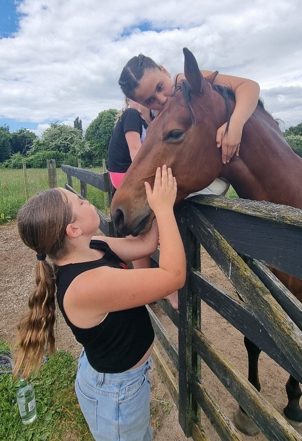 Horse Interaction Day