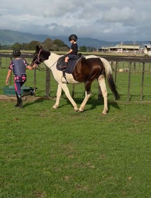 Youth Equestrian Public Experience At The Equine Facility