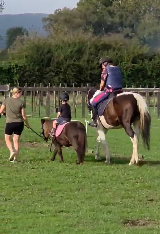 Youth Equestrian Public Experience At The Equine Facility