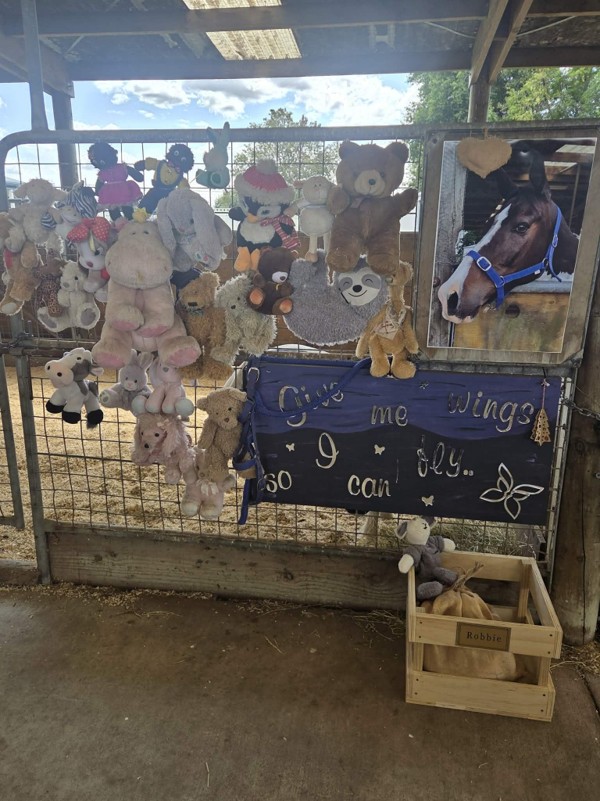 Children Show Appreciation By Decorating Stables