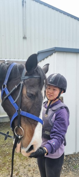 Equine Care & Interactive Experience