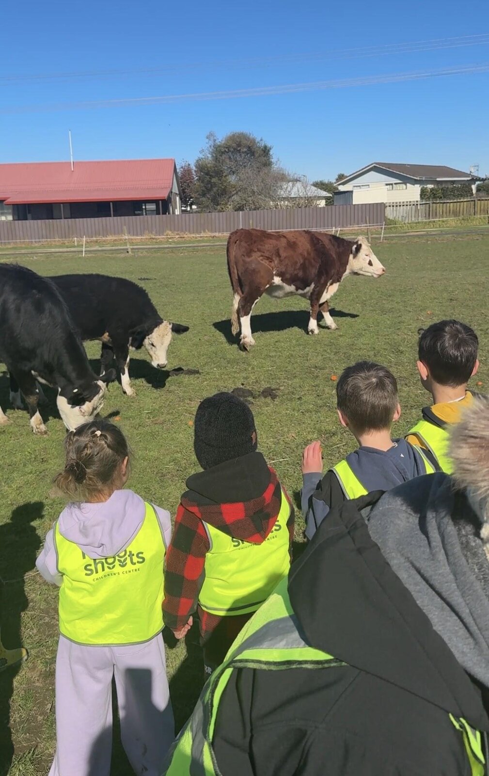 Young Volunteers Help With Ranch Chores