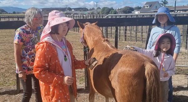 New volunteers demonstrating horse grooming.