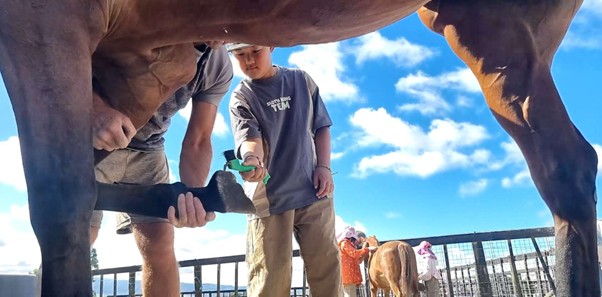 Weekend Horse Time & New Volunteer Energy!