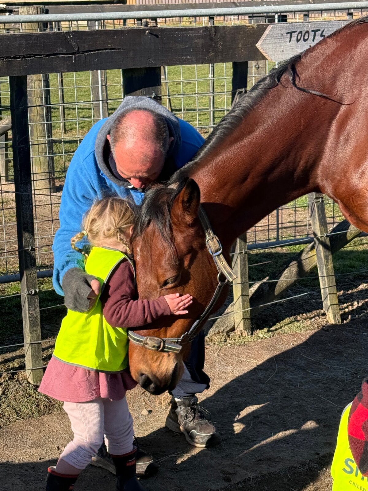 Youngest Volunteers Learn Horse Grooming